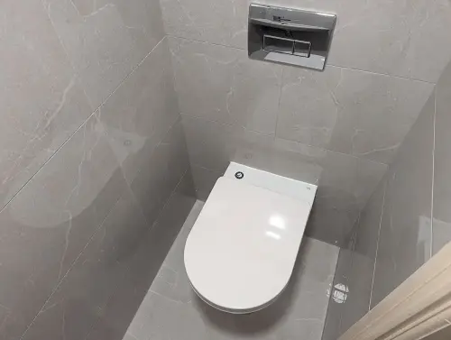 toilet in a wc